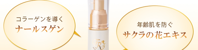 �G�N�X�N���[�V�u�G�b�Z���X���T�C�g